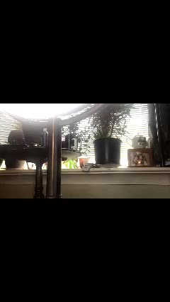 livmirage Adult Chat March 30, 2026