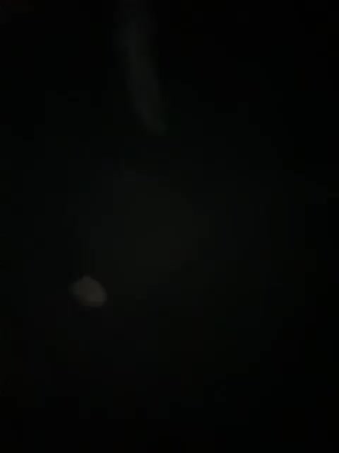 -DEVOCHKA-YYY- Adult Chat March 30, 2026