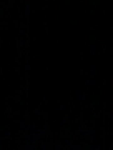 Fox_Black Adult Chat March 30, 2026