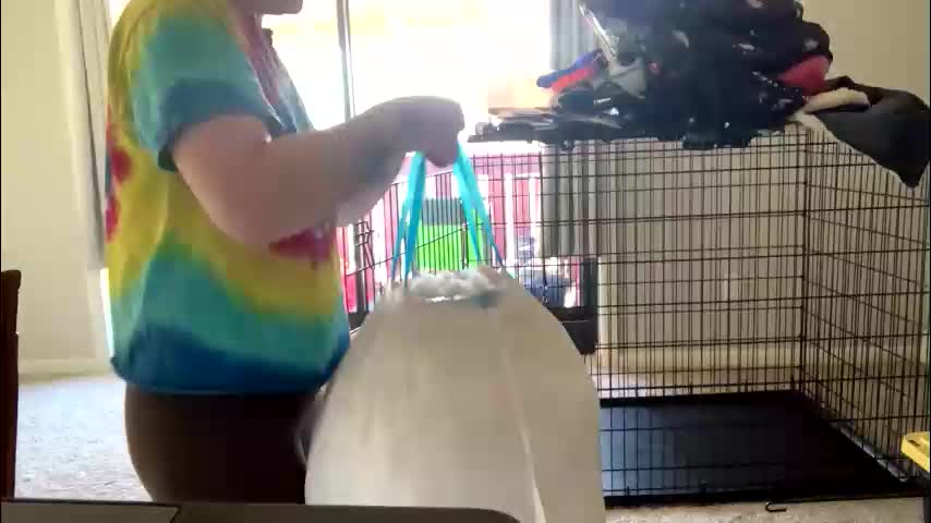 intothewoodswego Adult Chat March 31, 2026