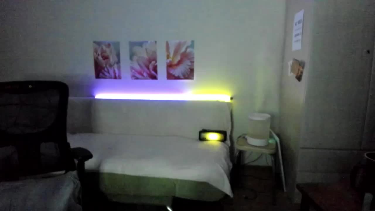 Lumina_V Adult Chat March 30, 2026