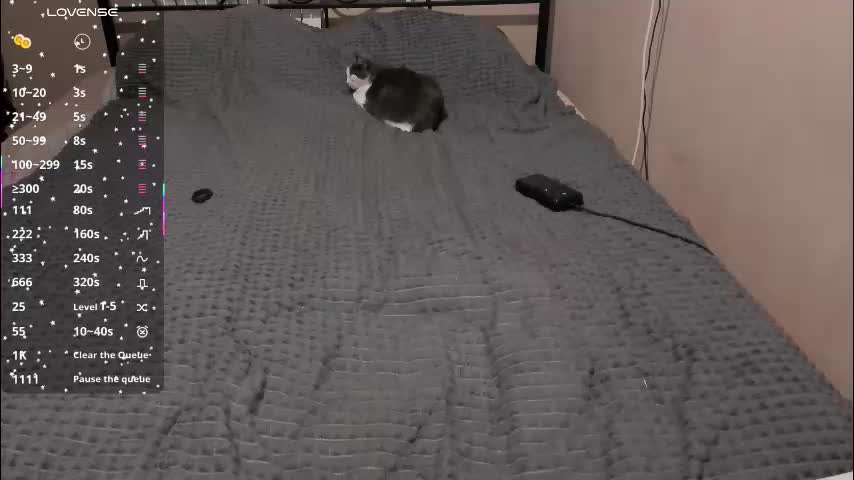 eva_zero Adult Chat March 31, 2026