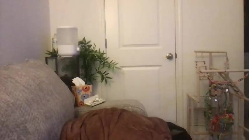 texas_blonde Adult Chat March 31, 2026