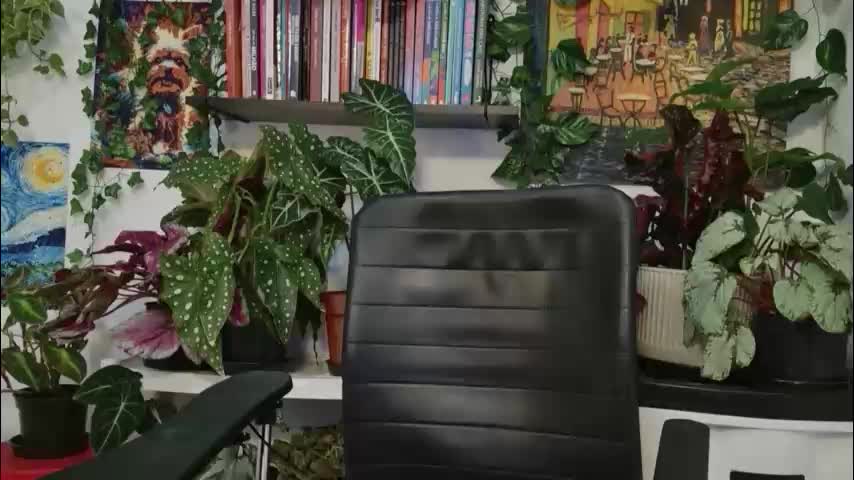 talimajid Adult Chat March 31, 2026