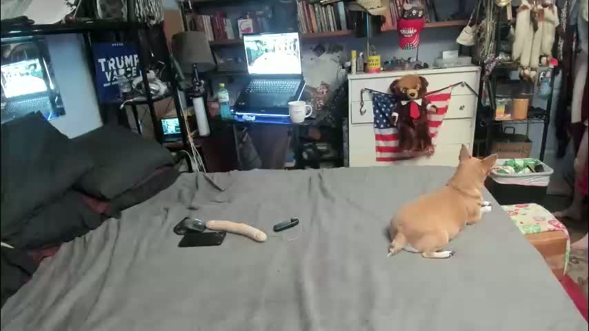 pink_black Adult Chat April 1, 2026