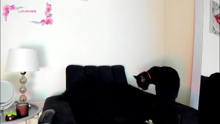 its__angelica_ Adult Chat April 1, 2026