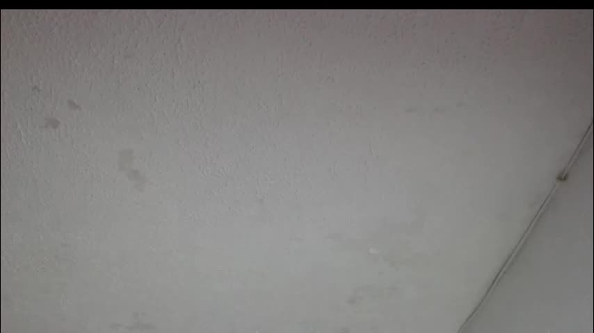 peytonbrunette Adult Chat April 1, 2026