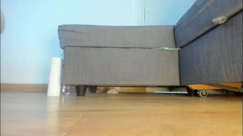 wet_pants2022 Adult Chat April 1, 2026