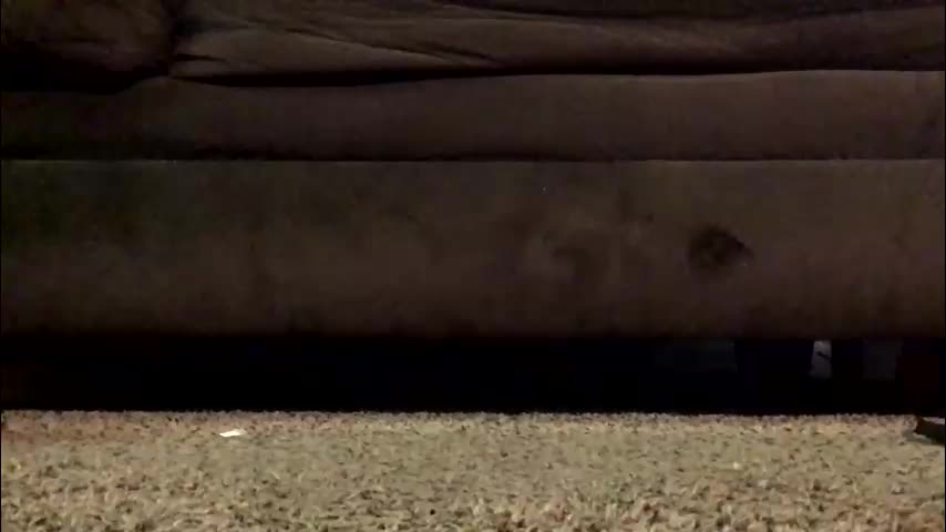 thickmadame28 Adult Chat April 1, 2026