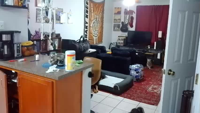 bexbex945874 Adult Chat April 2, 2026