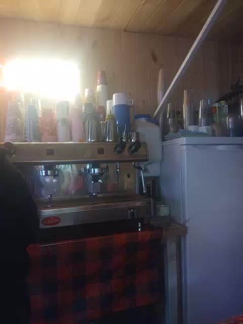 Katriona Adult Chat April 2, 2026