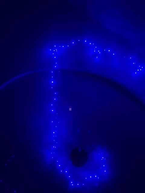 Sapiosexualka Adult Chat April 2, 2026