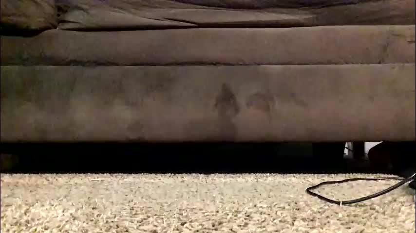 thickmadame28 Adult Chat April 2, 2026