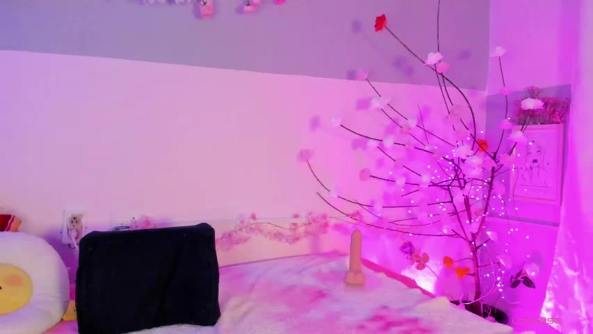 centaurigirls Adult Chat April 2, 2026