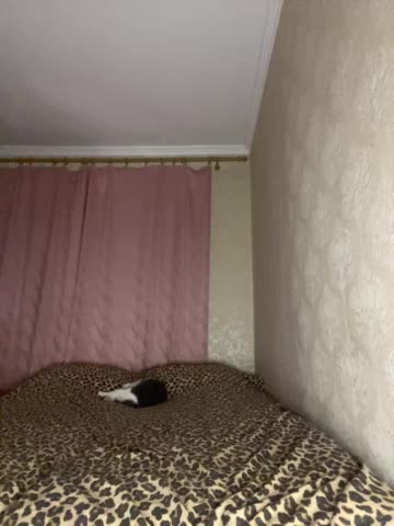 LuxuryAlya8 Adult Chat April 2, 2026