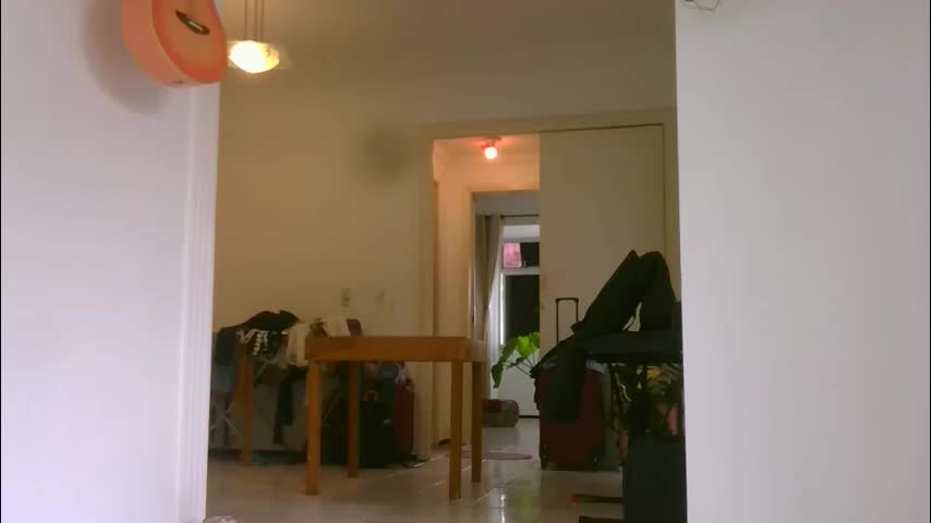 laurabraziliaan Adult Chat April 3, 2026