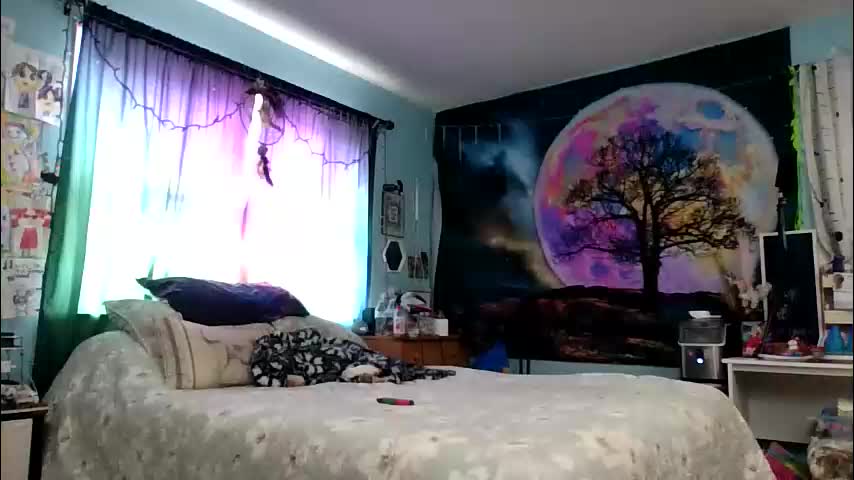 misseeva Adult Chat April 2, 2026