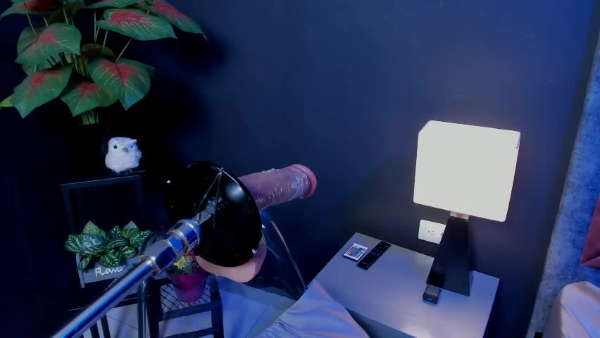 amywhitte_ Adult Chat April 2, 2026