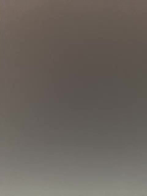 -Jolly- Adult Chat April 3, 2026