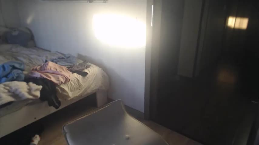 am_lace Adult Chat April 3, 2026