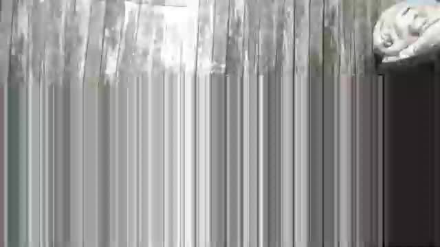 wild_ass_zessa Adult Chat April 3, 2026