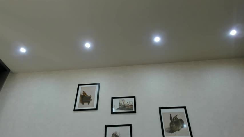 dolly_ll Adult Chat April 3, 2026