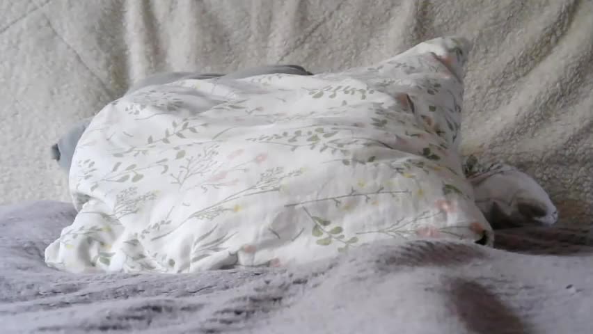 lenorrr Adult Chat April 3, 2026