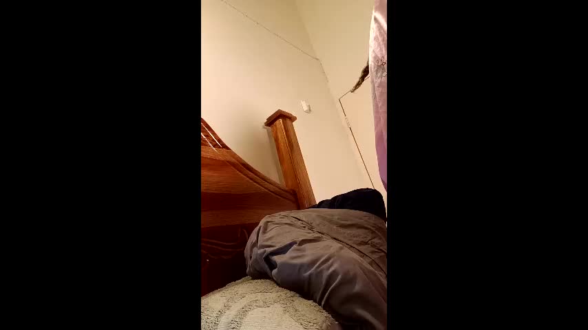 bustyirie Adult Chat April 3, 2026