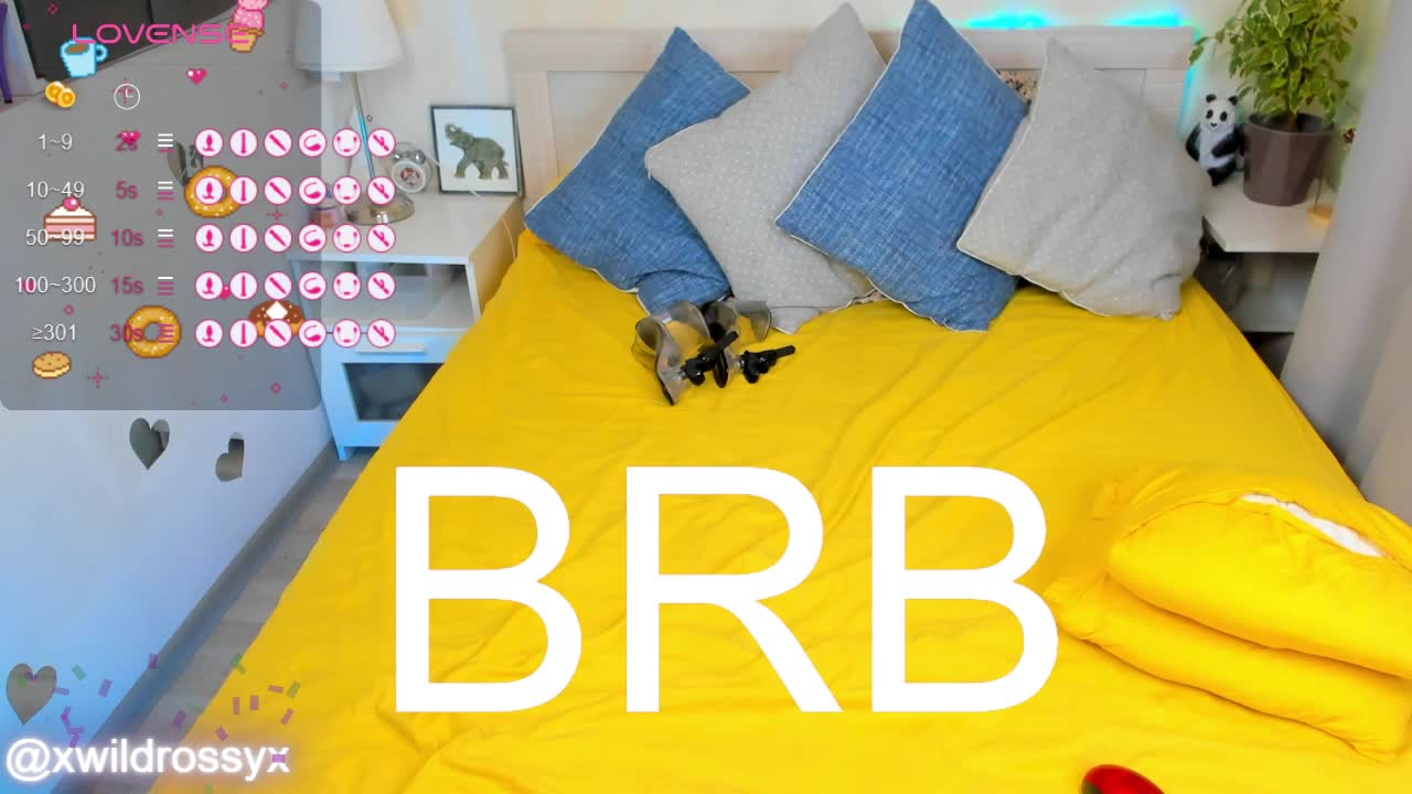 wildrossy Adult Chat April 3, 2026