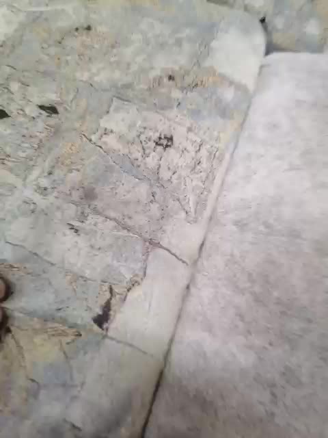 seksiparaa Adult Chat April 4, 2026