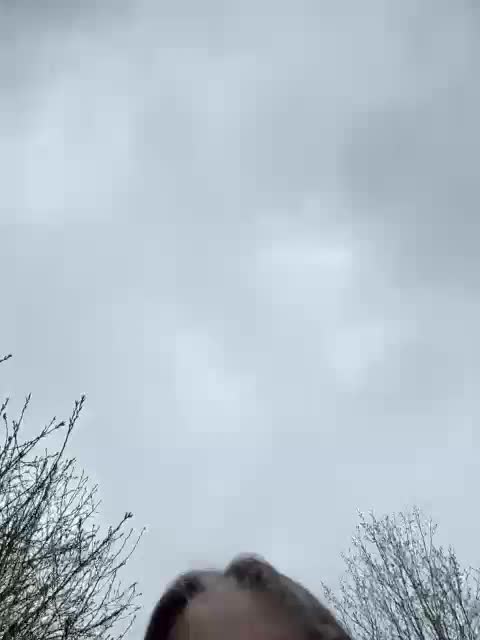 Pix1e Adult Chat April 4, 2026