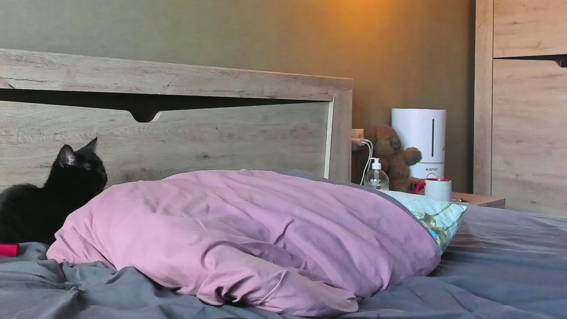 Dark-Willlow Adult Chat April 4, 2026