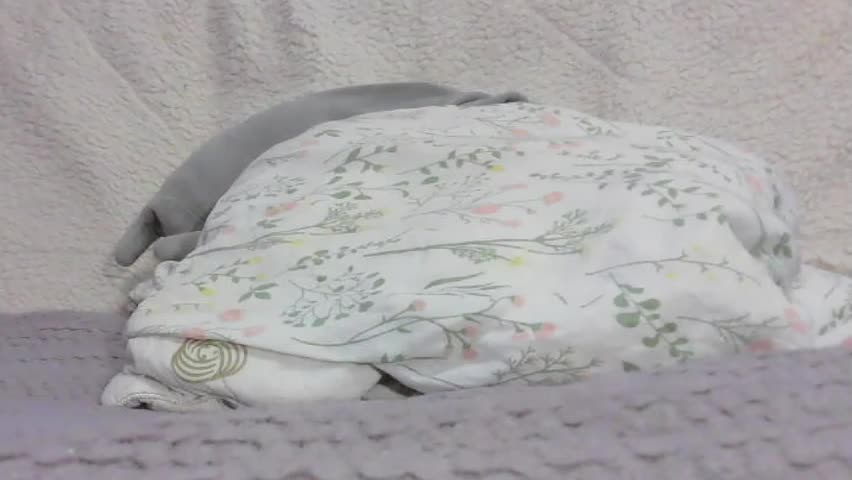 lenorrr Adult Chat April 4, 2026