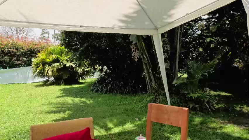 alicemrtnzz Adult Chat April 4, 2026