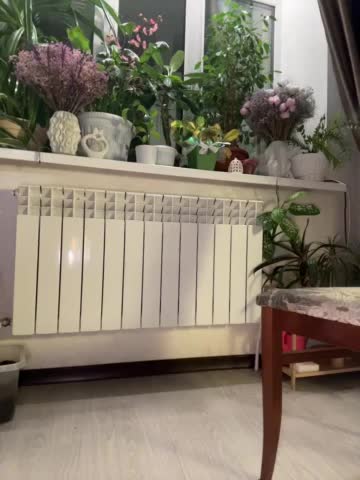 WednesdayFridayAddams Adult Chat April 5, 2026