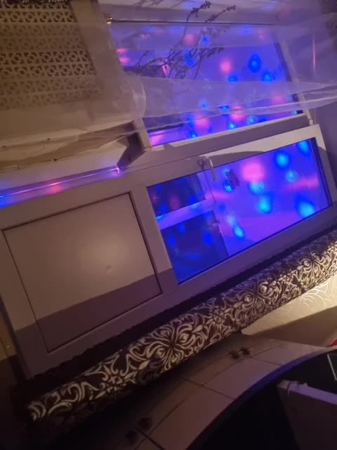 DenXXXTan Adult Chat April 5, 2026