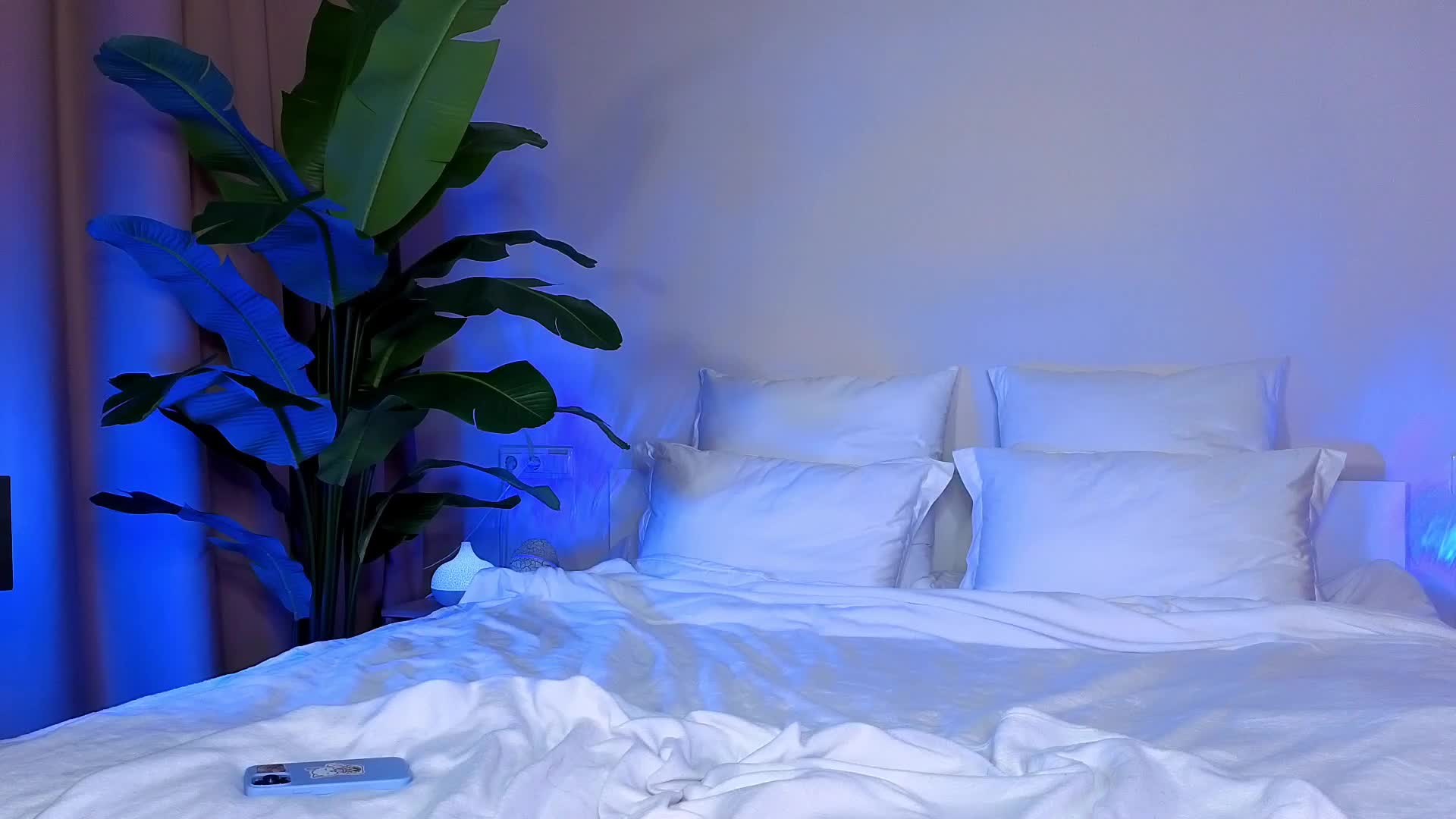 Amyleeplayss Adult Chat April 5, 2026