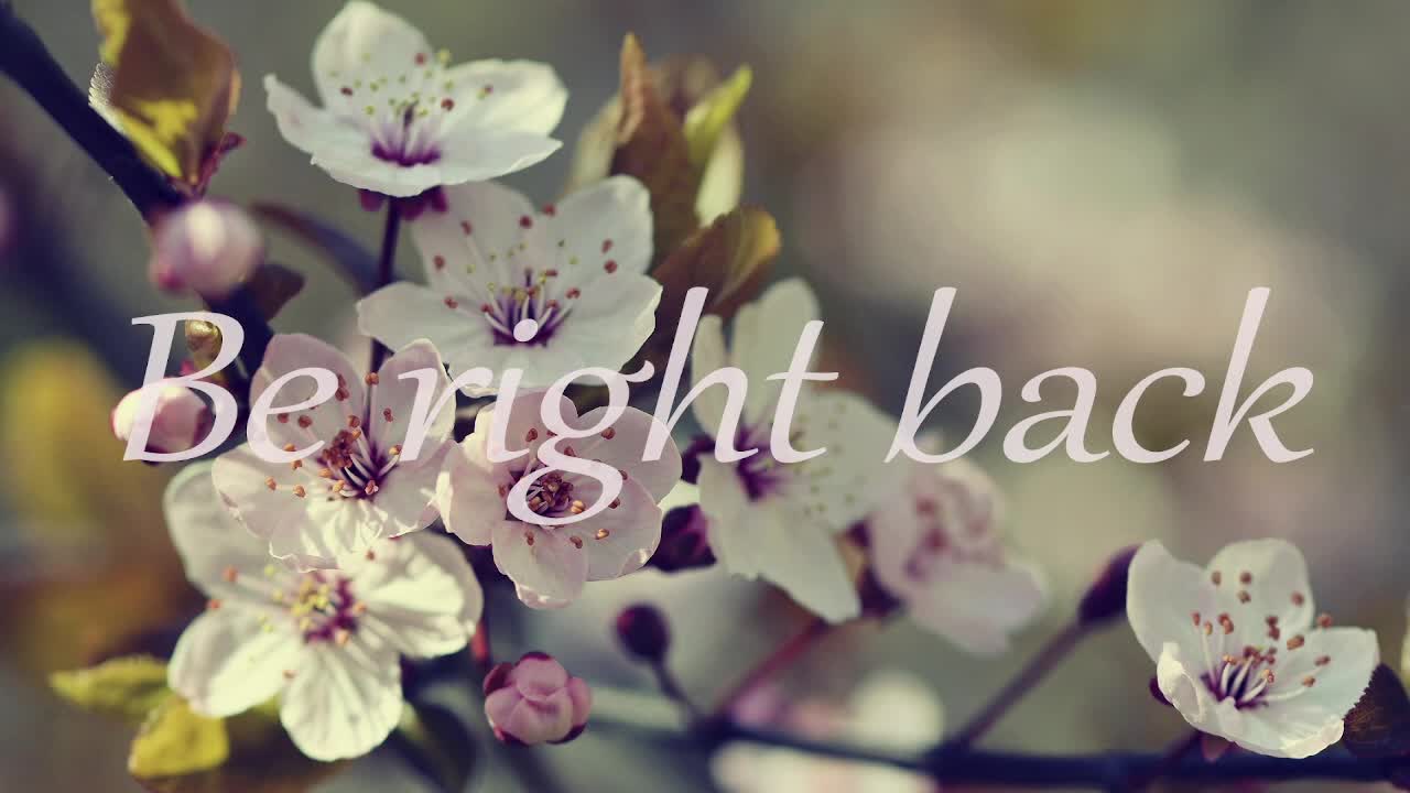 stressygirl Adult Chat April 6, 2026