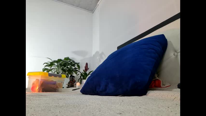 melaniie_roussel Adult Chat April 5, 2026