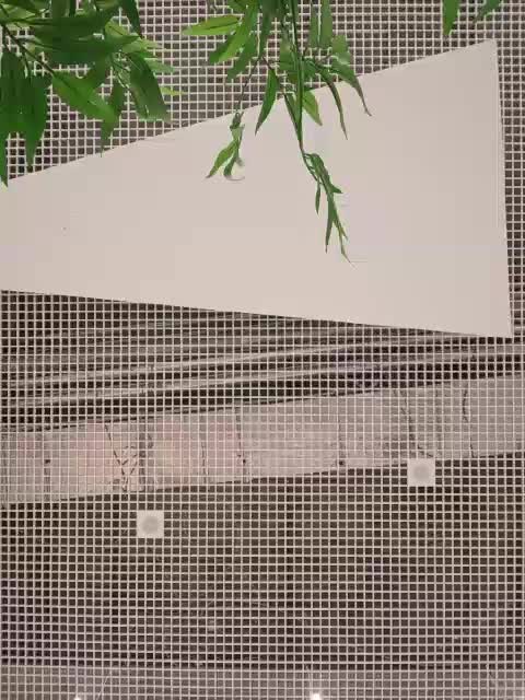 Annanas Adult Chat April 6, 2026