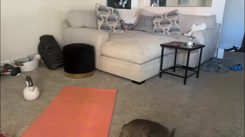 blondebunny999 Adult Chat April 6, 2026