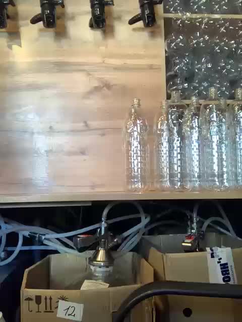 Yummypopka Adult Chat April 6, 2026