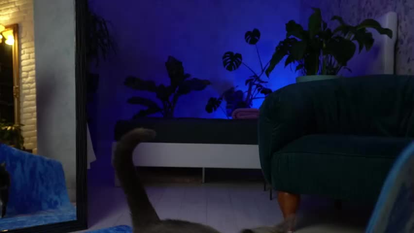 clara_bendover Adult Chat April 7, 2026