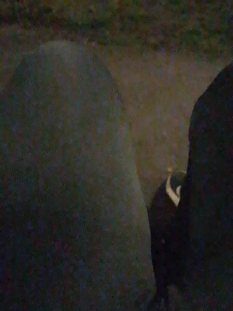 EVIL_TITS Adult Chat April 7, 2026