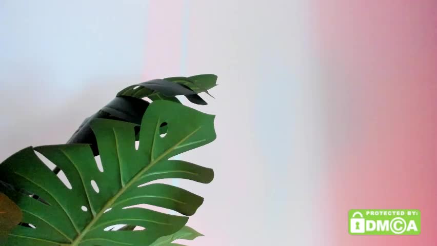 ashllovee_ Adult Chat April 7, 2026