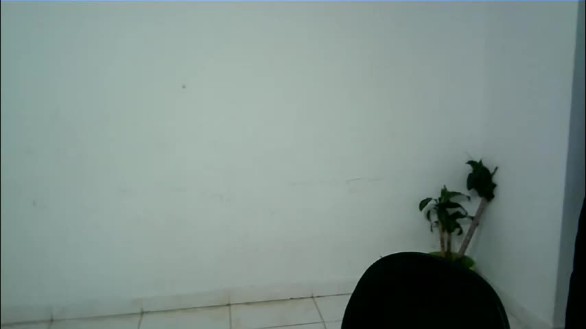 isa_bellaxx23 Adult Chat April 7, 2026