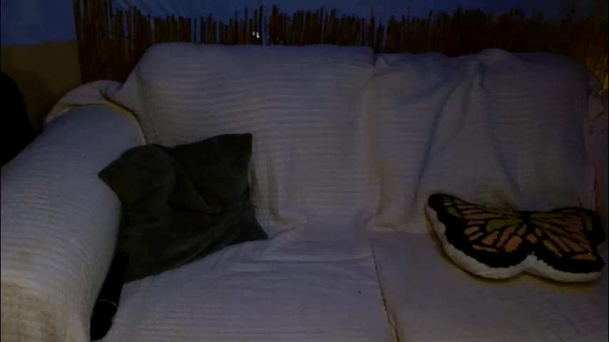 mindymounds Adult Chat April 7, 2026