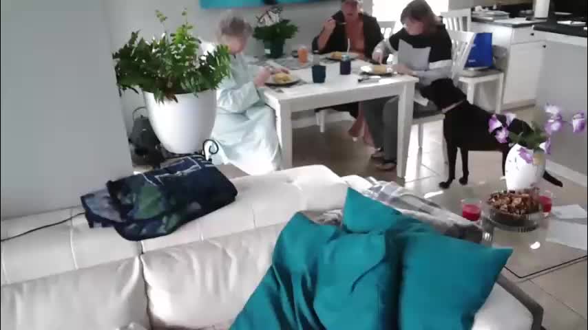 smallpenisbigtongue Adult Chat April 7, 2026