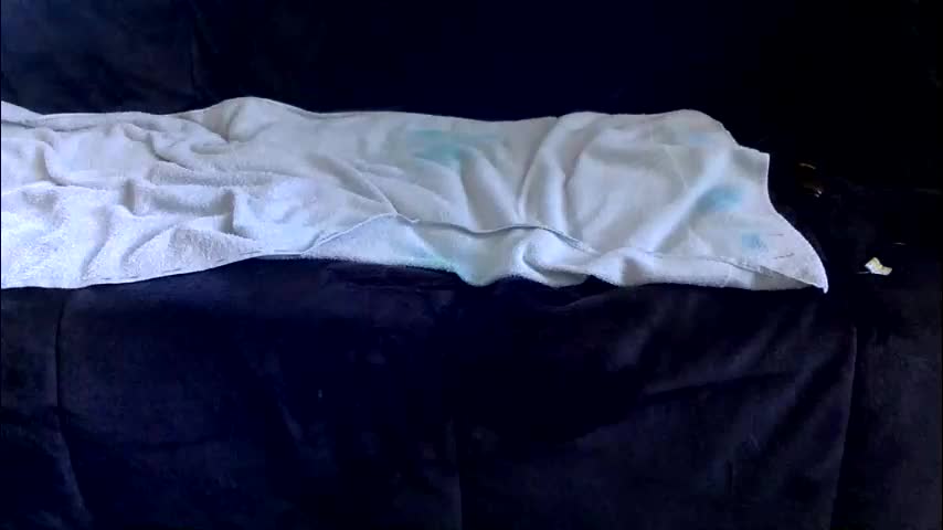 kittysub6969 Adult Chat April 8, 2026