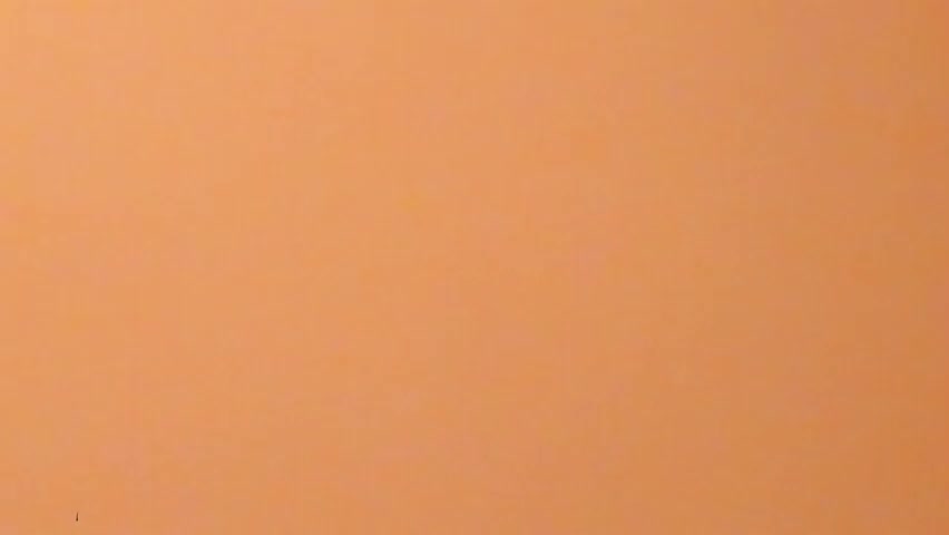 b3cky_ Adult Chat April 8, 2026